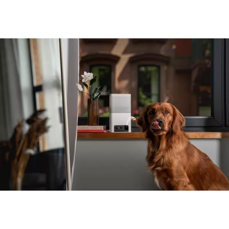 Petcube Camera Bites 2 Lite / BL10US