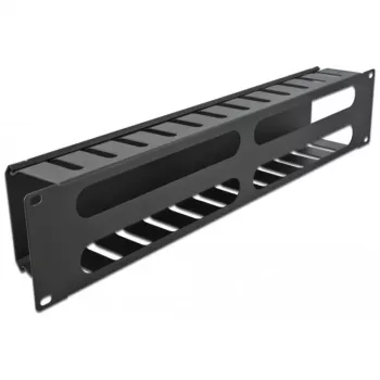 DeLOCK - Kabelführungsplatte für Schaltschrank - Schwarz - 2U - 48,3 cm (19) (66553)