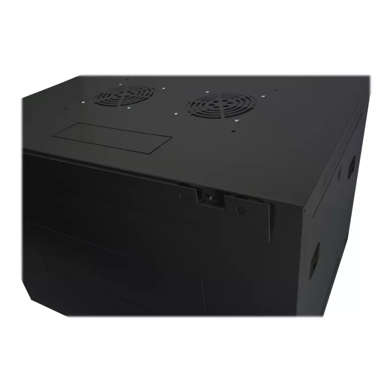 DIGITUS Dynamic Basic DN-19 16-U-EC-SW - tinklo spinta - skirta montavimui ant sienos - RAL 9005 - 16U - 48,3 cm (19 inch)