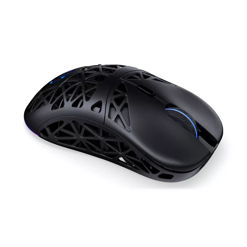 Belaidė pelė ENDORFY EY6A016 Bluetooth