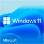 Windows 11 Home, operacinė sistema 64 bitų, vokiška, USB atmintinė
