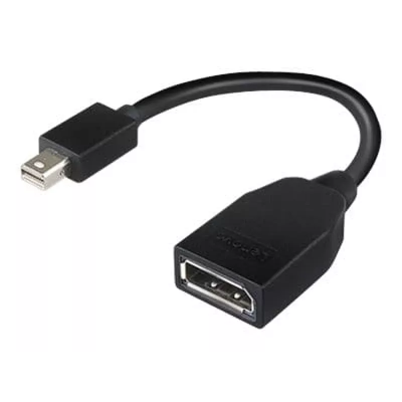 Lenovo 4X90L13971 Mini DisplayPort į DisplayPort laidas, juodas