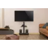 Gembird TVS-75S-02 TV grindinis stovas su ratukais, 37 - 75, juodas