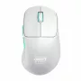CHERRY XTRFY M64 Wireless belaidė žaidimų pelė