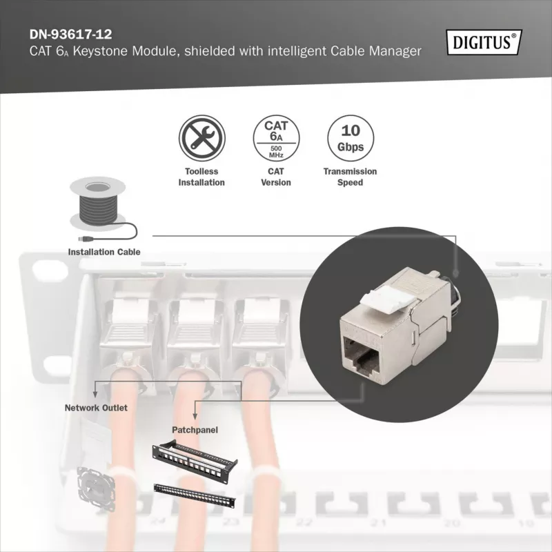 Digitus Cat.6A ekranuotas Keystone modulis su išmaniuoju kabelių tvarkytuvu, 12 vnt., sidabrinis