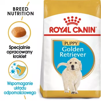 Sausas šunų ėdalas Royal Canin Golden Retriever Junior 12 kg – paukštiena, 29% baltymų, 16% riebalų