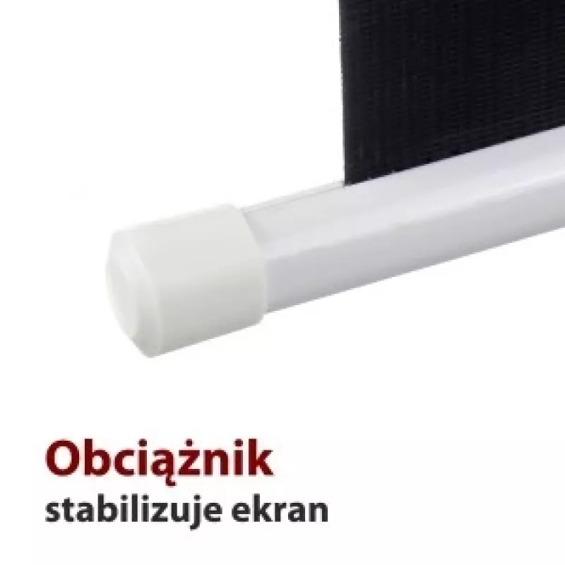 Elektrinis ekranas 16:9 119 col. su nuotolinio valdymo pultu 264x147 cm FS-119 16 9