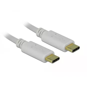 Delock USB-C laidas, 15 cm, 100 W, PD 2.0, baltas (85357)