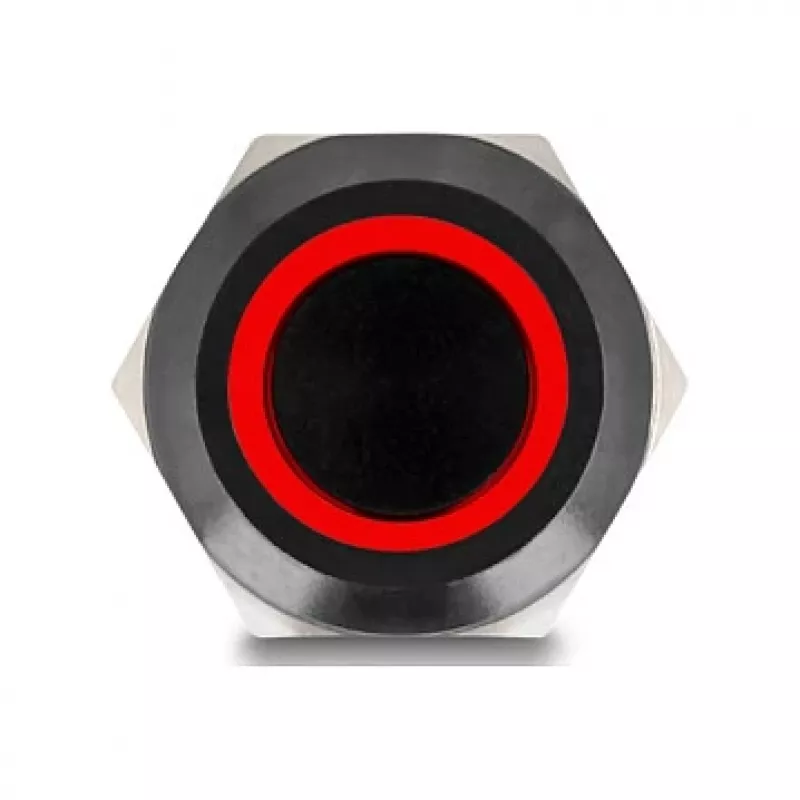 Mygtukinis jungiklis DELOCK 22014, 12 mm, 12 V