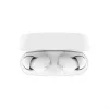 Belaidės ausinės Belkin SoundForm Rhythm