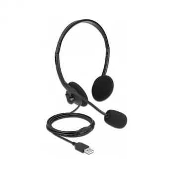 Ausinės DeLOCK USB stereo ausinės su garsumo valdymu
