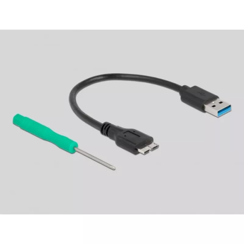 DeLOCK 42006 išorinis SSD korpusas mSATA diskams