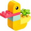 Kaladėlės DUPLO 30673 Mano Pirmoji Antis 4 viename