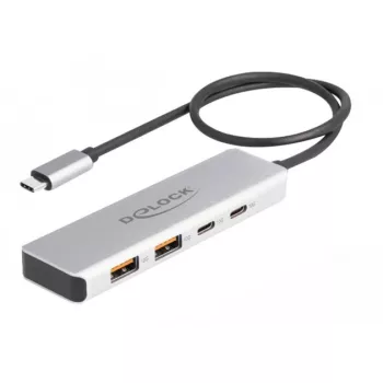 DeLOCK USB šakotuvas USB Type-C 10 Gbps 2x Type-A 2x Type-C 35 cm laidas