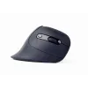 Gembird MUSW-ERGO-03 pelė Home Dešinei rankai RF Belaidė Optinė 1600 DPI