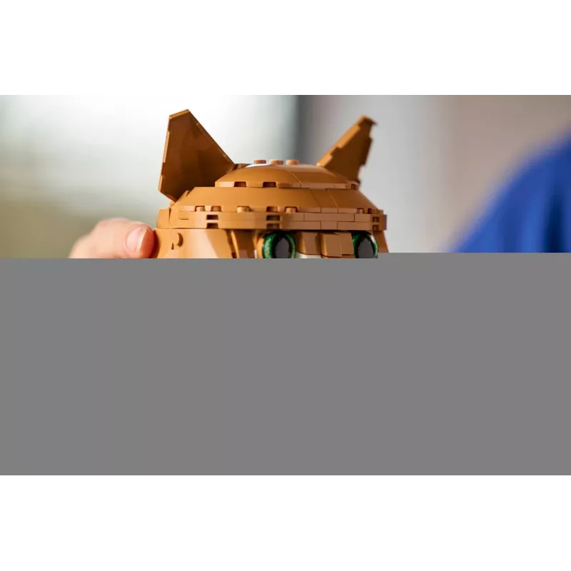 LEGO IDEAS 21376 Oranžinė katė