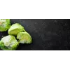Sėklos Crisp Ice Lettuce Summer Toraf salotos, 1g pakuotė