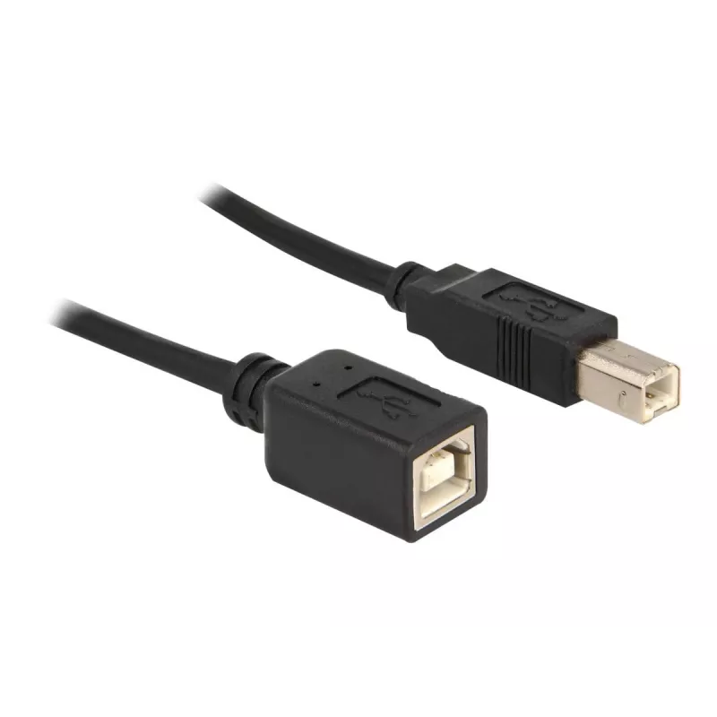 USB laidas DeLOCK USB2.0-B 2m USB B juodas