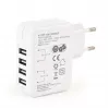 USB įkroviklis universalus baltas 4 prievadai EG-U4AC-02 Gembird