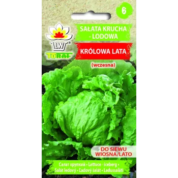 Sėklos Crisp Ice Lettuce Summer Toraf salotos, 1g pakuotė