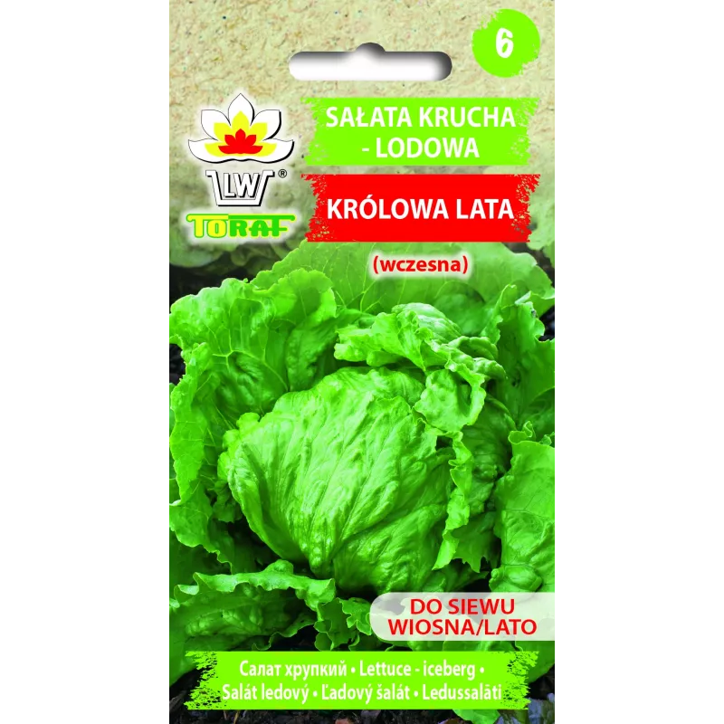 Sėklos Crisp Ice Lettuce Summer Toraf salotos, 1g pakuotė