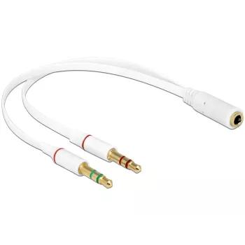 Garso adapteris DeLOCK 65585 0,2 m 2x3,5 mm Kištukas į 3,5 mm Lizdą Baltas