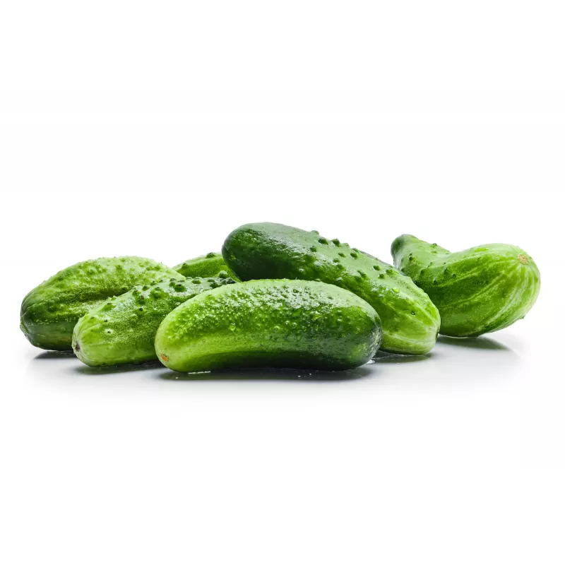 Agurkų sėklos Srem Cucumber F1 Toraf, 5g pakuotė