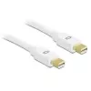DeLOCK DisplayPort kabelis - Mini DisplayPort (kištukas) - Mini DisplayPort (kištukas) - 2,0 m - Baltas - skirtas Apple MacBook, MacBook Air, MacBook Pro (82795)