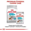 Royal Canin Mini Urinary Care sausas ėdalas šunims, 1 kg