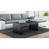 Cama TESS120 CZ/CZ kavos / šoninis / kampinis staliukas Kavos staliukas stačiakampė forma 2 koja (-os)