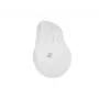 NATEC Crake 2 pelė Universal RF belaidė + Bluetooth optinė 2400 DPI