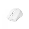 Belaidė pelė DICOTA D31659W RF 2.4 GHz USB Type-C