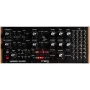 Analogiškas pusiau modulinis sintezatorius Moog Labyrinth – monofoninis, 20 įv./12 išv. patchbay, sekvensorius, natūrali mediena