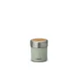 Termosas Thermos Preppen 700 ml Mėtų