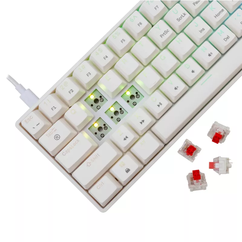 Laidinis mechaninis klaviatūra White Shark Shinobi-2 (GK-004211) — US išdėstymas, raudoni jungikliai, balta