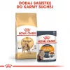 Sausas kačių ėdalas Royal Canin Bengal Adult 2 kg – paukštiena, 40% baltymų, 18% riebalų, virškinimo ir odos priežiūra
