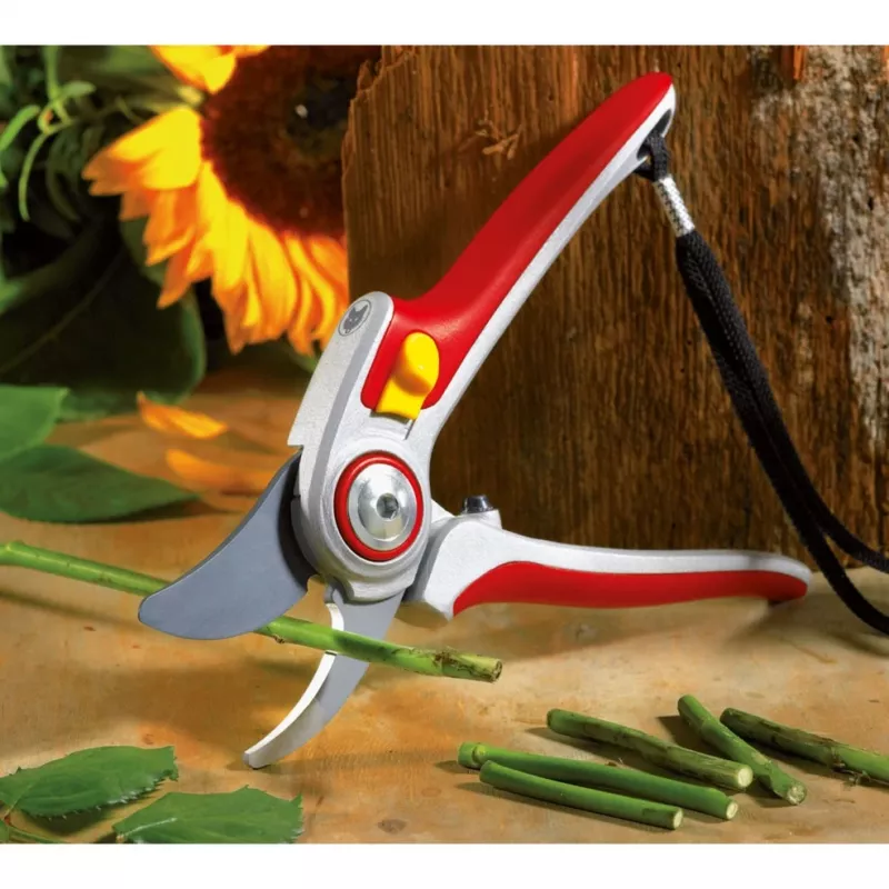 Žoliapjovė WOLF-Garten RR 5000 ALU-PROFESSIONAL