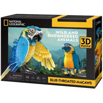 3D dėlionė cubicfun Mėlyngurklės aros, 88 detalės, modelis 306-DS1097H