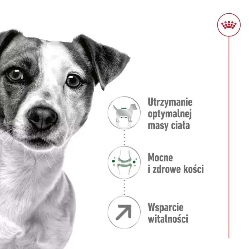 Sausas šunų ėdalas Royal Canin Mini Adult 8+ 2 kg – smulkioms veislėms 5–10 kg, paukštiena, svorio kontrolės formulė