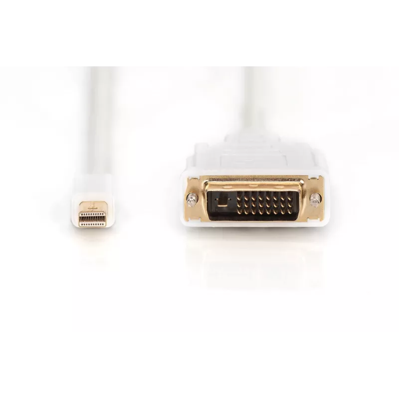 Kabelis DisplayPort 1.1a mini DP-DVI tipas MM 2,0 m