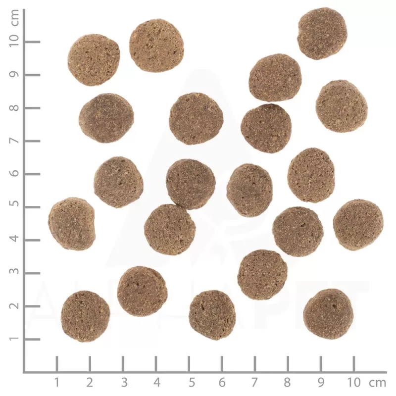 Sausas šunų ėdalas Wolfsblut VetLine Weight Management Turkey 12 kg – be grūdų, 22% baltymų, 8% riebalų