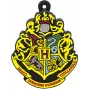 USB atmintukas Emtec 16 GB USB Type-A Harry Potter Collector Hogvartas