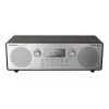 Radijo grotuvas RF-D100BTEGT PANASONIC