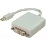 Mini DisplayPort į DVI laidas ShiverPeaks baltas