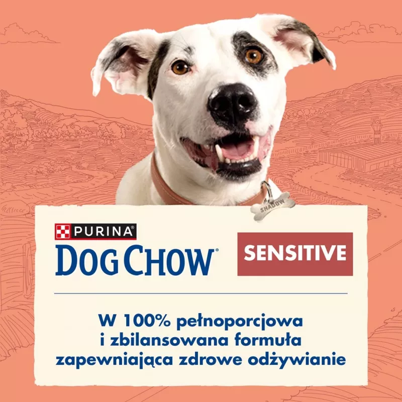 Purina DOG CHOW Sensitive Adult 14 kg su lašiša