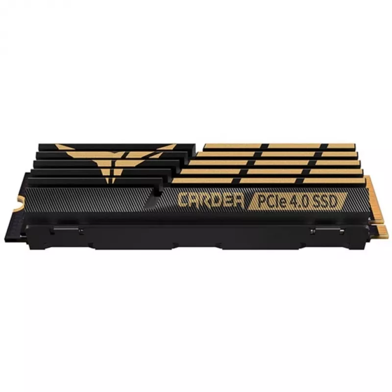 SSD diskas Team Group 2 TB M.2 PCIe 4.0 T-FORCE CARDEA A440