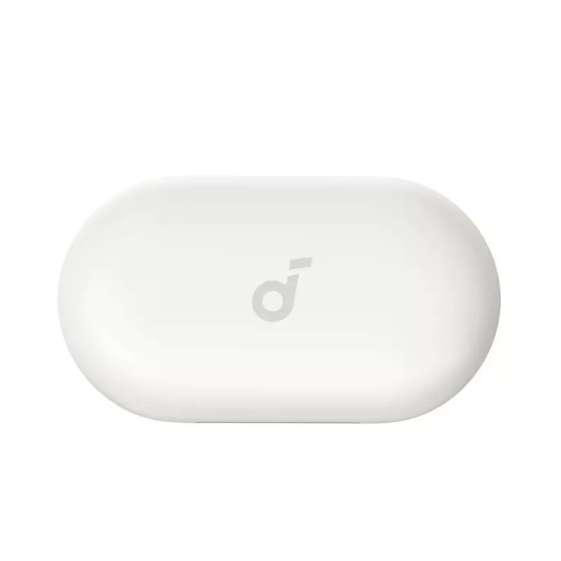 Ausinės Soundcore V20i baltos