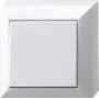 REV pilnas mygtukas White 0501492551