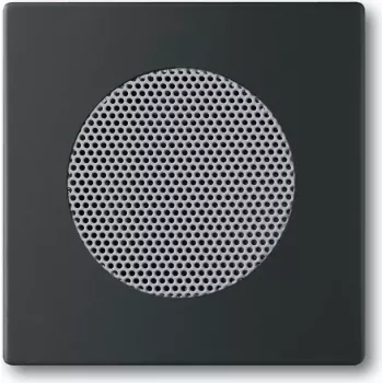 Sieninė plokštė / jungiklio gaubtas Busch-Jaeger 8200-0-0126 – juoda, klasikinio dizaino, 63×63 mm