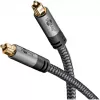 Plus Toslink kabelis (juodas/sidabrinis, 5 metrai)